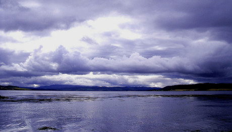 4858521520_037ed8fb86_z